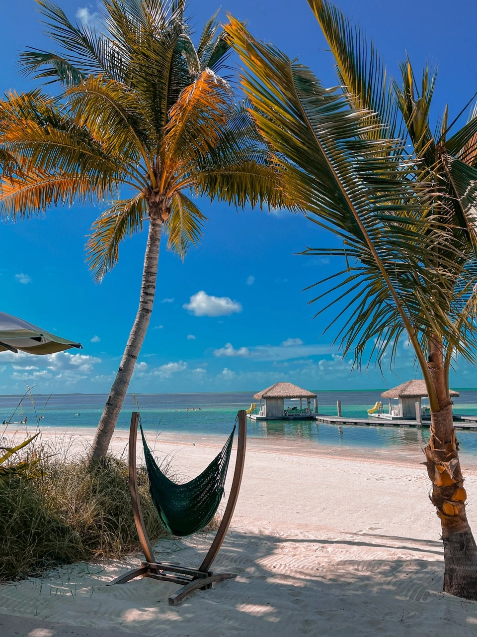 Hammock in the Bahamas