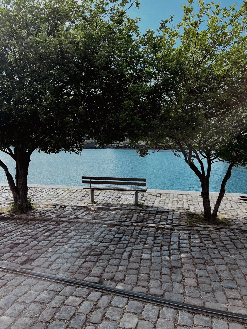 Bench in Copenhagen