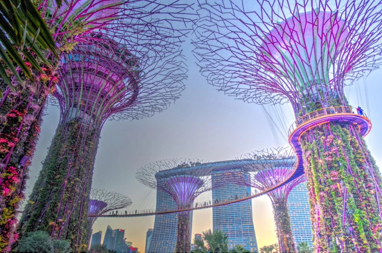 Supertree grove and Marina Bay Sands in Singapore.